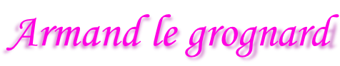 Armand le grognard