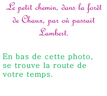 Le petit chemin, dans la forêt de Chaux, par où passait Lambert.  En bas de cette photo, se trouve la route de votre temps.